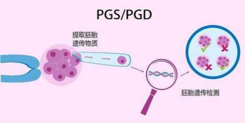 海口借卵生子试管医院排名公布，附2026海南供卵生男孩医院名单						,可以找供卵代孕的医院
