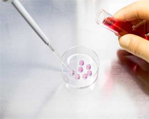 国内借卵子做试管的费用到底是多少钱？,试管代孕案例
