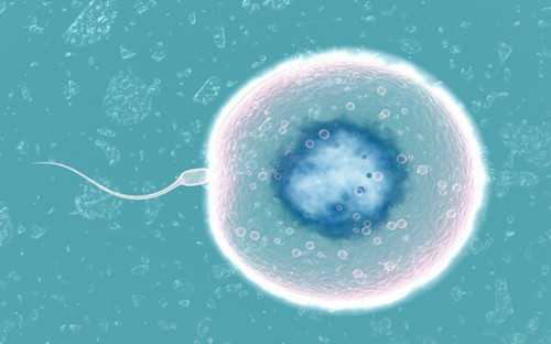 南昌借卵试管包生男孩价格多少？附费明细！,供卵助孕中介