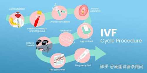 四川做试管供卵生男孩费用详情表，2026当地供卵三代试管医院清单						,供卵助孕费用标准
