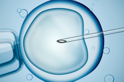 2026武汉借卵试管婴儿费用多少？费用因人而异！,试管婴儿跟代孕的区别